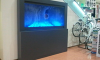 2011-01-14 22.26.24.jpg